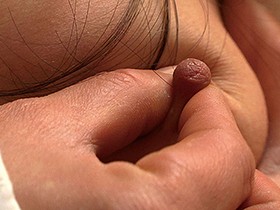 BBM女体図鑑 人妻熟女の乳首 30人　サンプル画像03